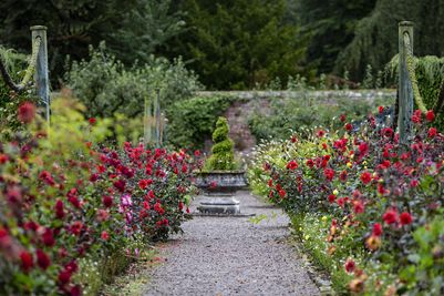 Walled garden at Threave Garden & Nature Reserve in Castle Douglas 