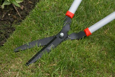 Long Handled Lawn Shears