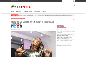 Screencapture of York Pedia