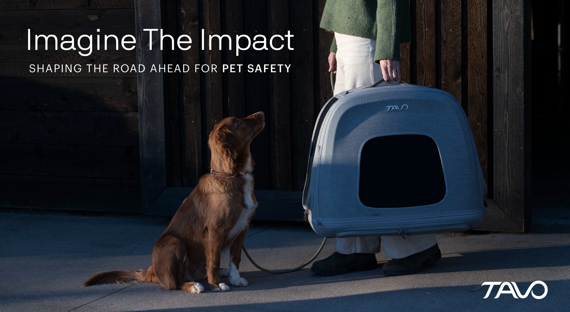Tavo Pets, pet protection specialists, launch 'Imagine the Impact'