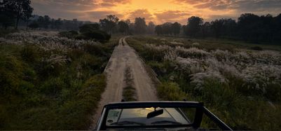 Kanha Singinawa National Park Wild Central India.jpg
