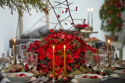 2022_poinsettia_02000_Urban_Loft_Christmas_37.jpg