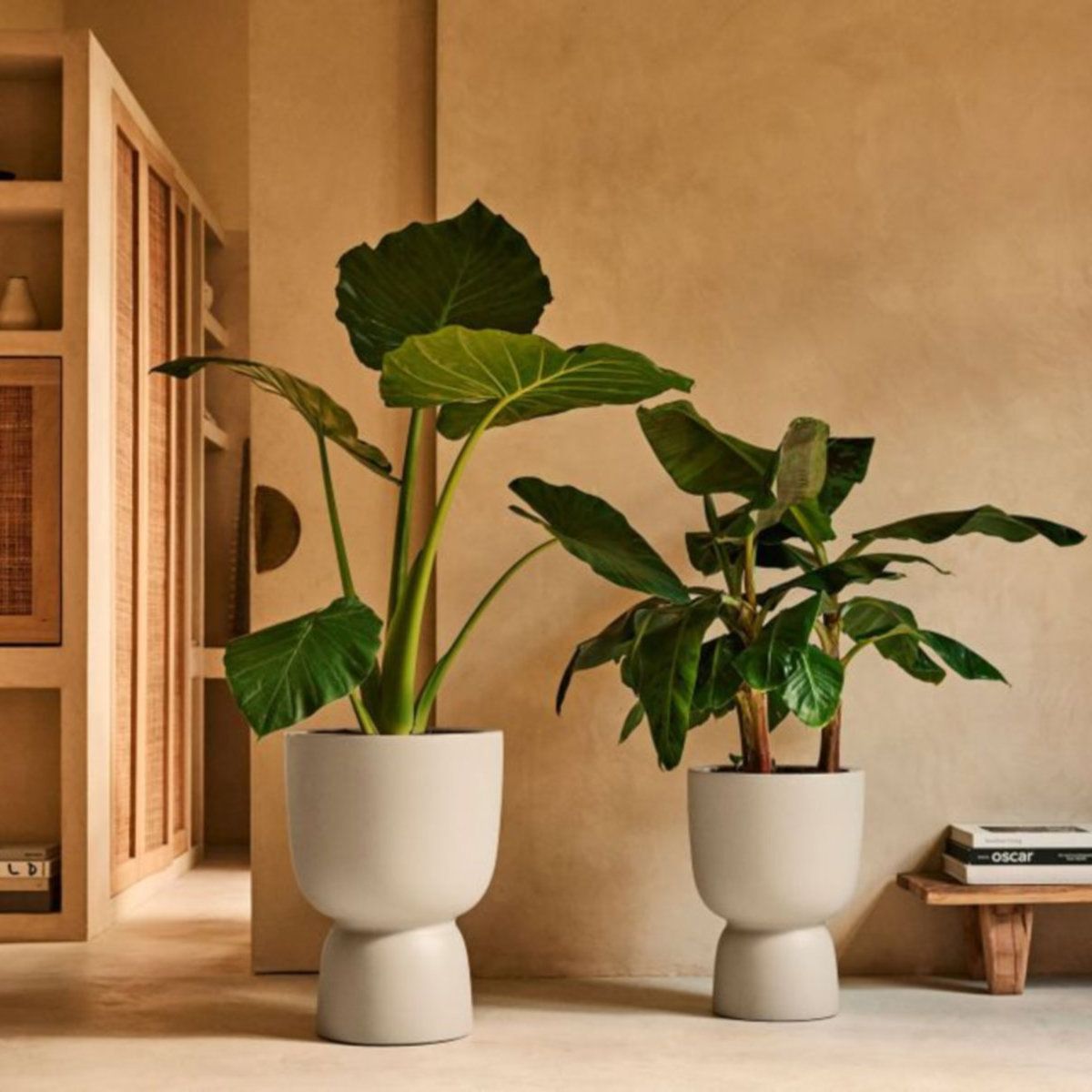 Charles Bentley partners with sustainable plant pot innovator elho to stock premium collection 