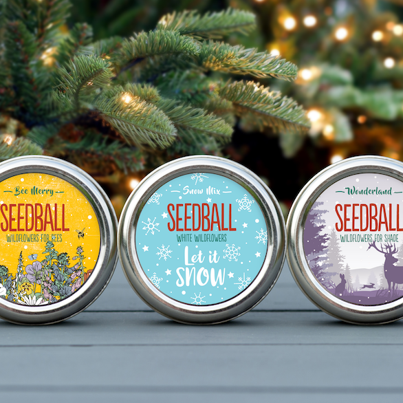Christmas Seed Ball Tins