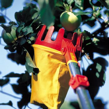 WOLF-Garten Multi-change Adjustable Fruit Picker.jpg