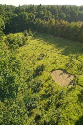 The Conkers drone photo.jpg