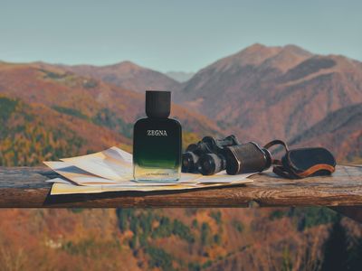 Vol. V — LA PANORAMICA