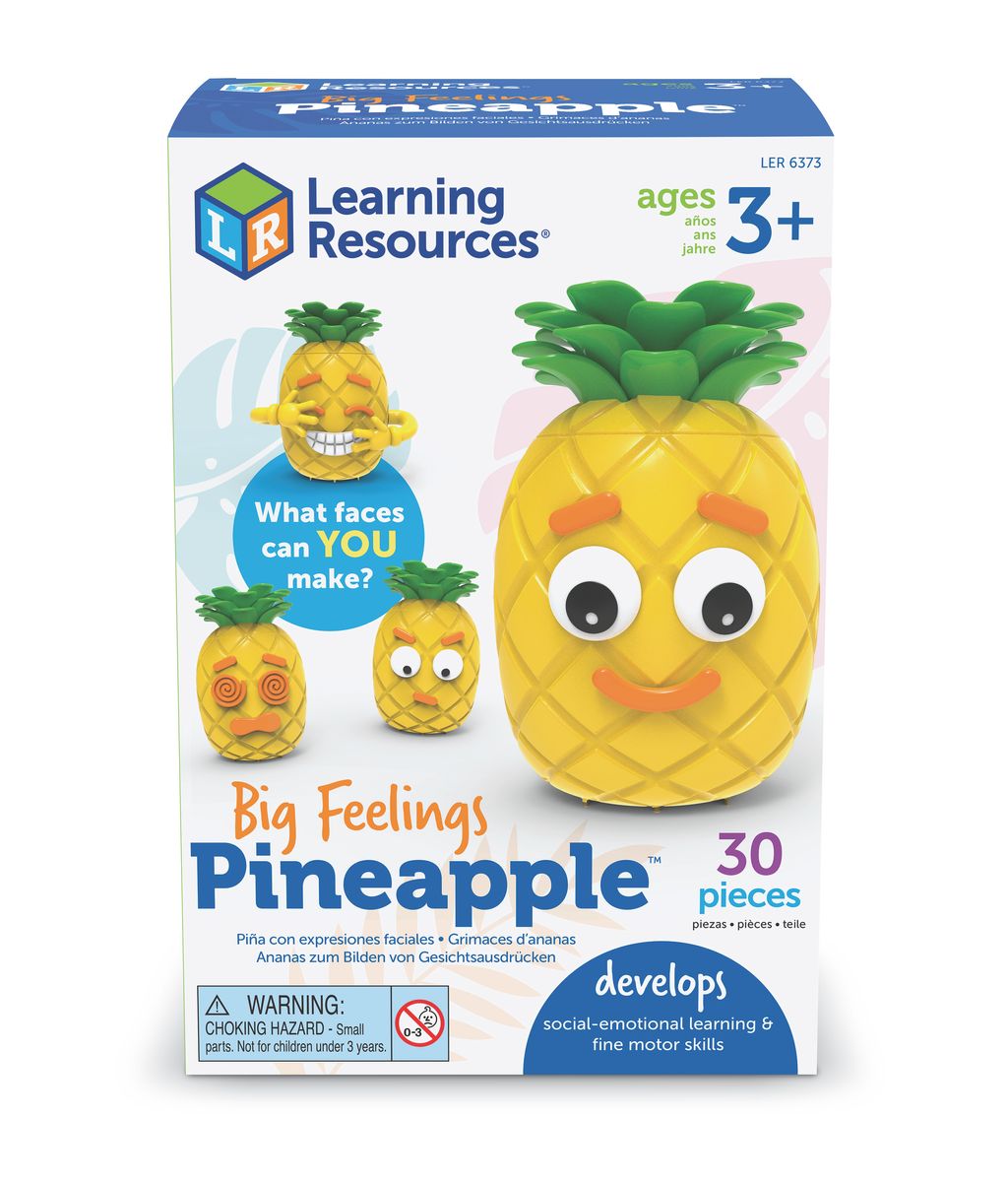 Big Feelings Pineapple