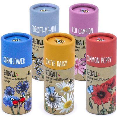 Wildflowers.jpeg