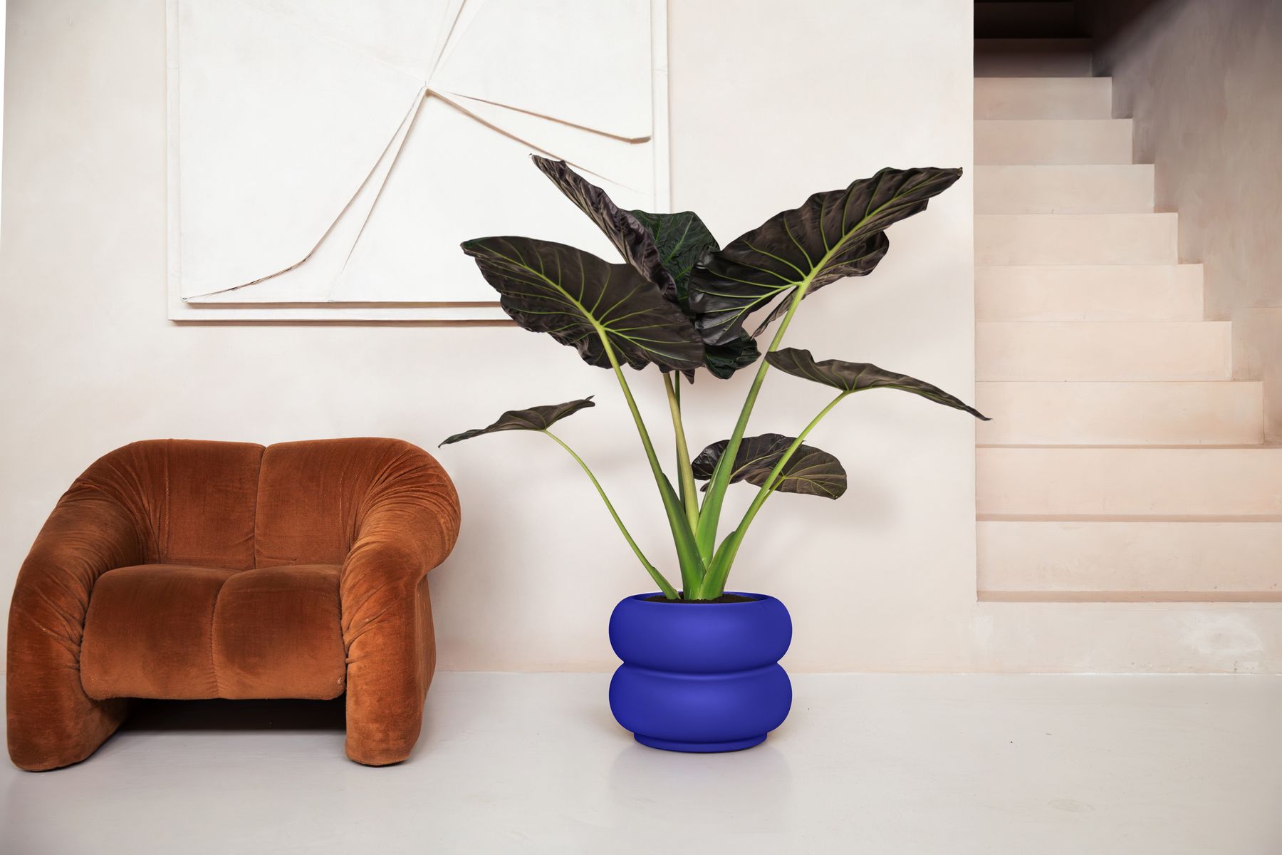 Amber roll royal blue