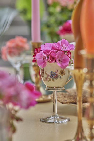 2024-Geraniums-3000-Hippy-Flower-Power-14-1.jpg