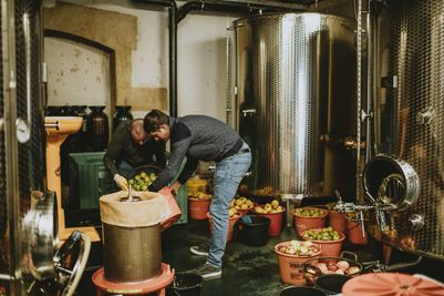 Ramborn_2019Harvest_6©LFT_VéroniqueKolber.jpg