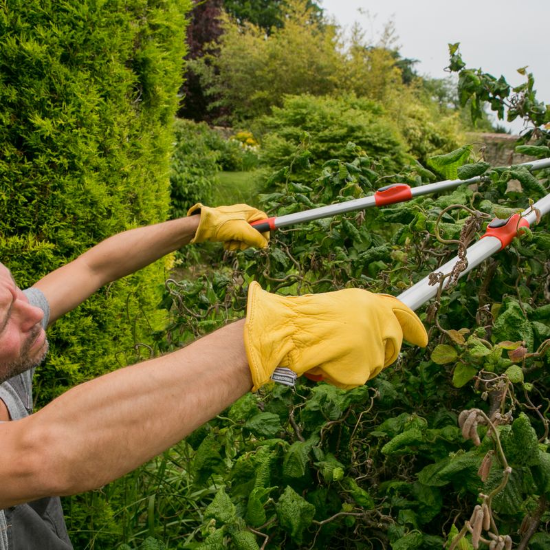 Telescopic Anvil Loppers