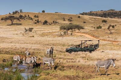 Game drive on the river 2.jpg