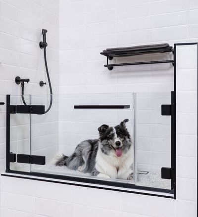 Velvet Paw Dog Shower