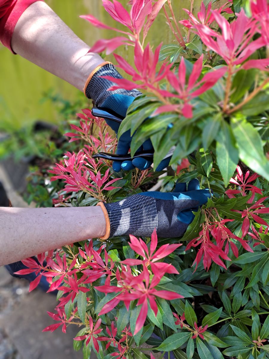 Town & Country ECO-Flex Pro Gloves