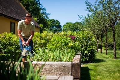 Watering the garden with Maxicrop
