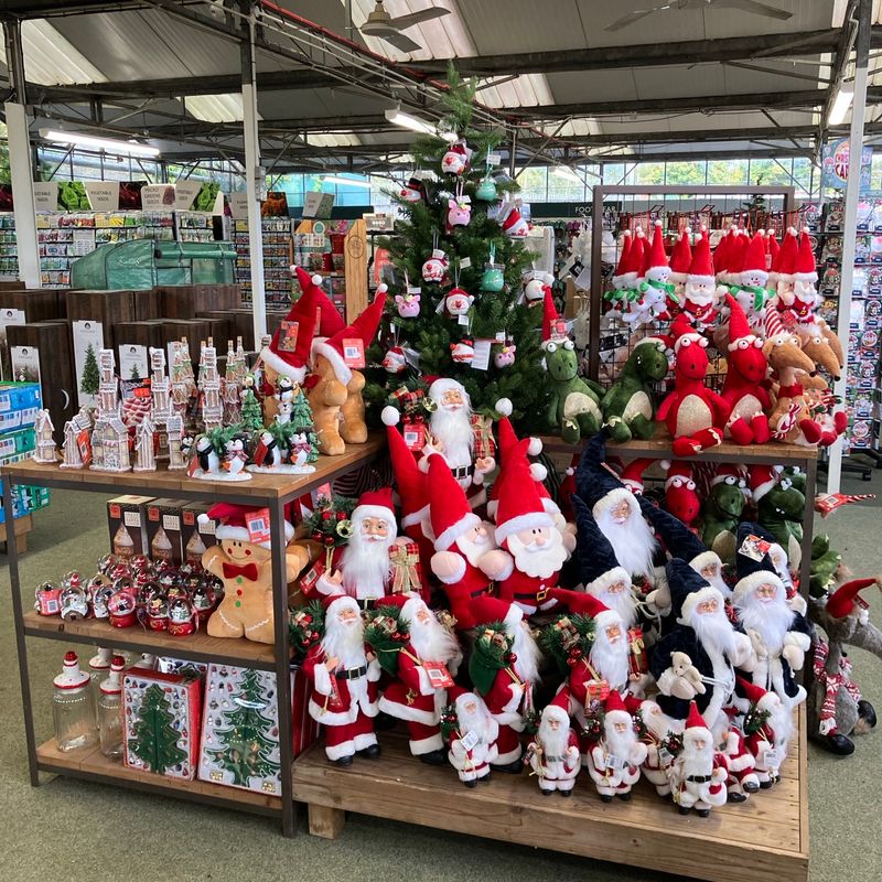 Hillier Garden Centres and Nurseries - Christmas 2024