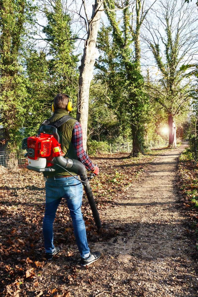 BP43C Backpack Blower