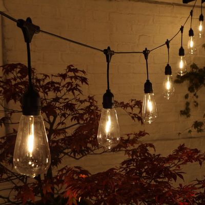 Indoor Outdoor Connectable Festoon Lights with Drop - 20 Bulbs, 7.6m Long