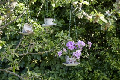 2022_Geraniums_5060_DIY_Blooming_Bird_Feeder_Teacups_07 (1).jpg