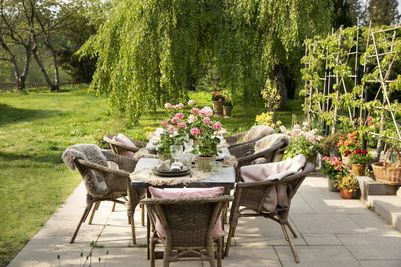 2023-Geraniums-4000-Warm-Country-Chic-13.jpg