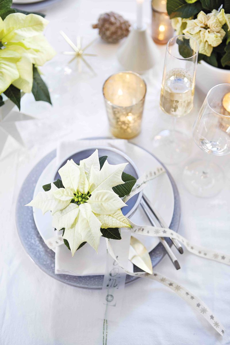 Poinsettia table decoration 2.jpg