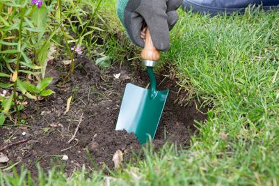 _carbon-steel-hand-trowel-1111208wr_Med.jpg