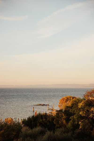 Fall_AlexMoling_CapeOfSenses-222.jpg