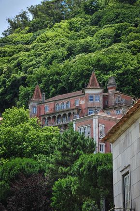 DSC_1013.jpg