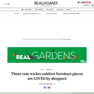 Screencapture of Real Homes