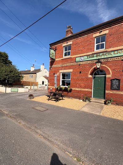 The black lion 1.jpg