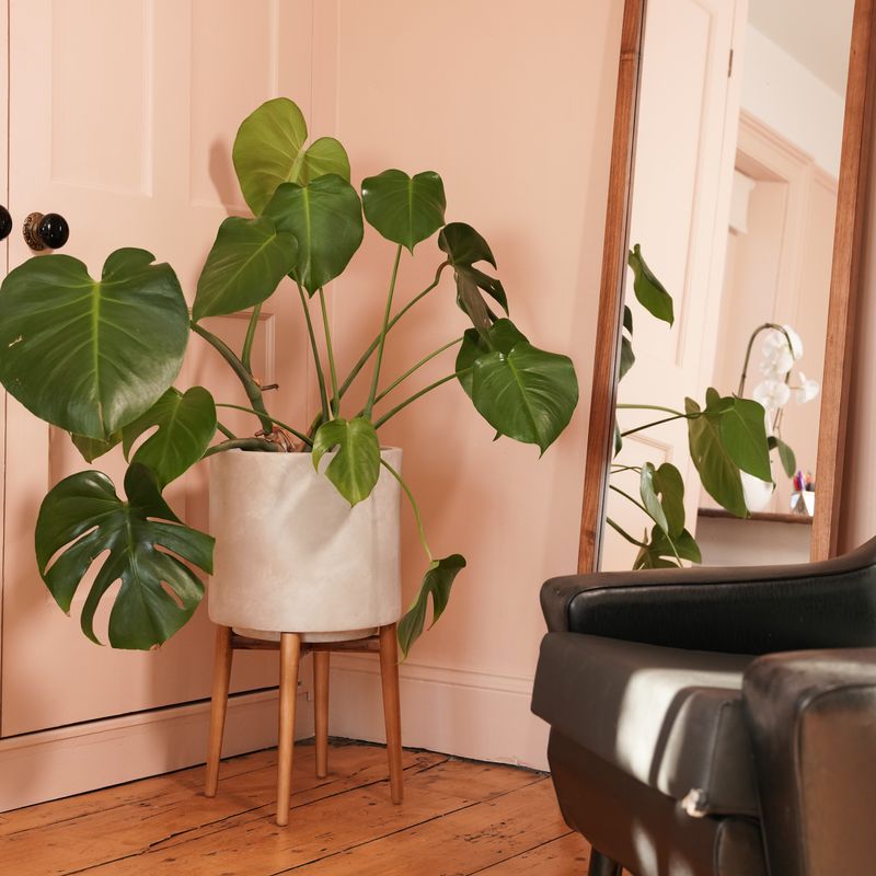 Baby Bio®