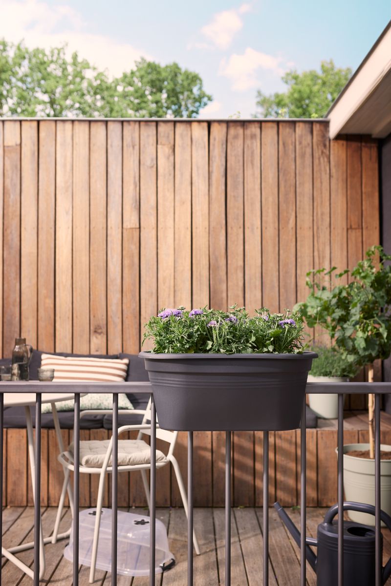 green basics balcony grow set 55cm living black