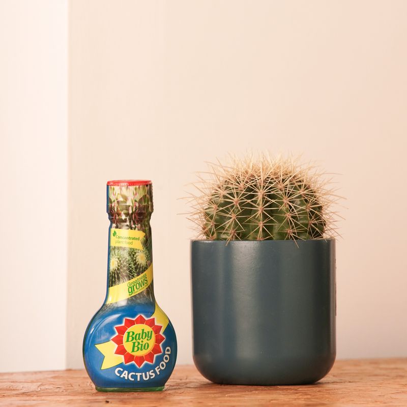 Baby Bio® Cactus Food