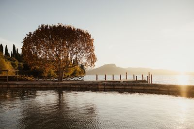 Fall_AlexMoling_CapeOfSenses-193.jpg