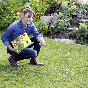 Neudorff Organic CleanLawn application.jpg
