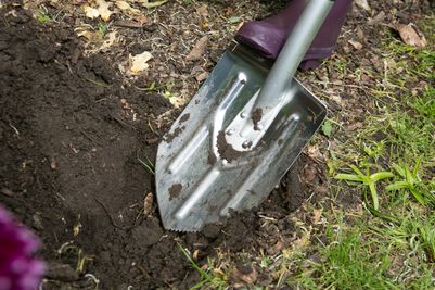 Ultralight Digging Spade.jpg