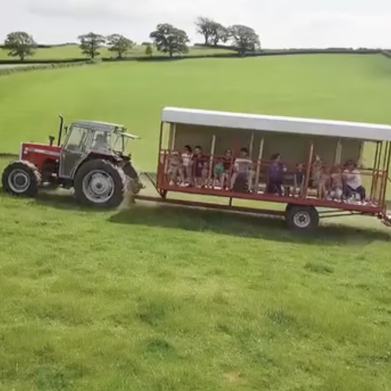 Tractor and Trailer ride at the Lakeland Maze Farm Park in Sedgwick near Kendal