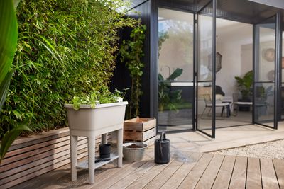noa grow table