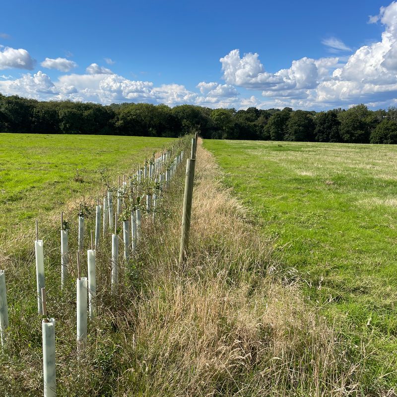 Woodlands.co.uk                                                                                                      