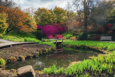 Iris Dell at Wakehurst