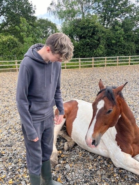 Therapeutic Equine Assisted Learning CIC 2.jpg