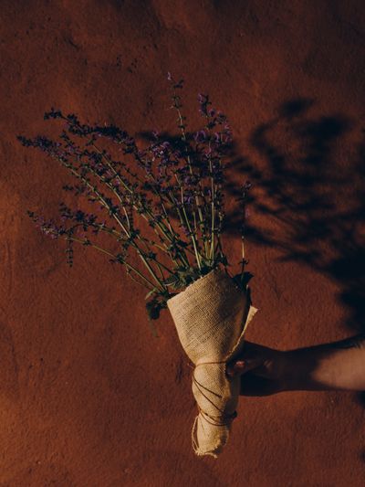 YERA-Details-1©Charlotte Lapalus-FORESTIS (12).jpg