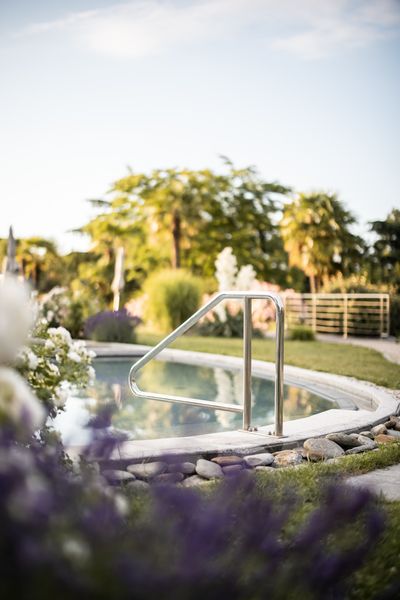 Alpiana_Pool Detail.jpg
