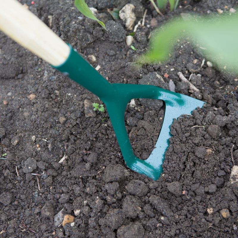 Carbon Steel Dutch Hoe