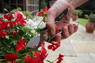Precision pruners.jpg