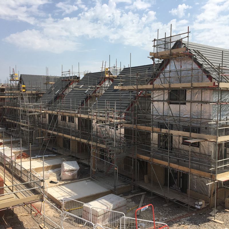 Pinewood Structures in Progress 