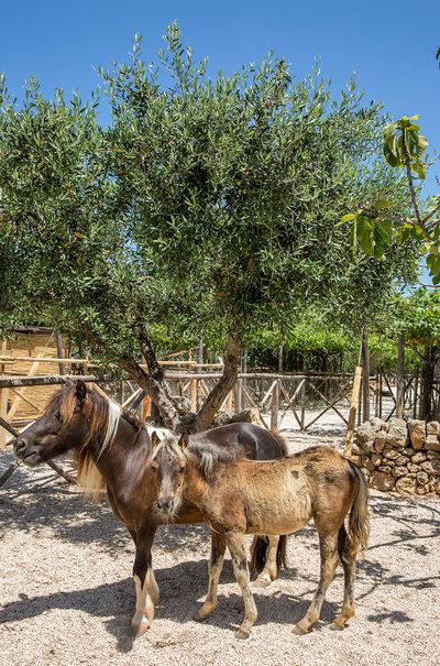 BorgoEgnazia_Ph.Giorgio Baroni.jpg