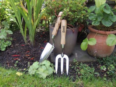 Stainless Steel Hand Trowel & Hand Fork